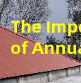The Importance of Annual Professional Roof Inspections
